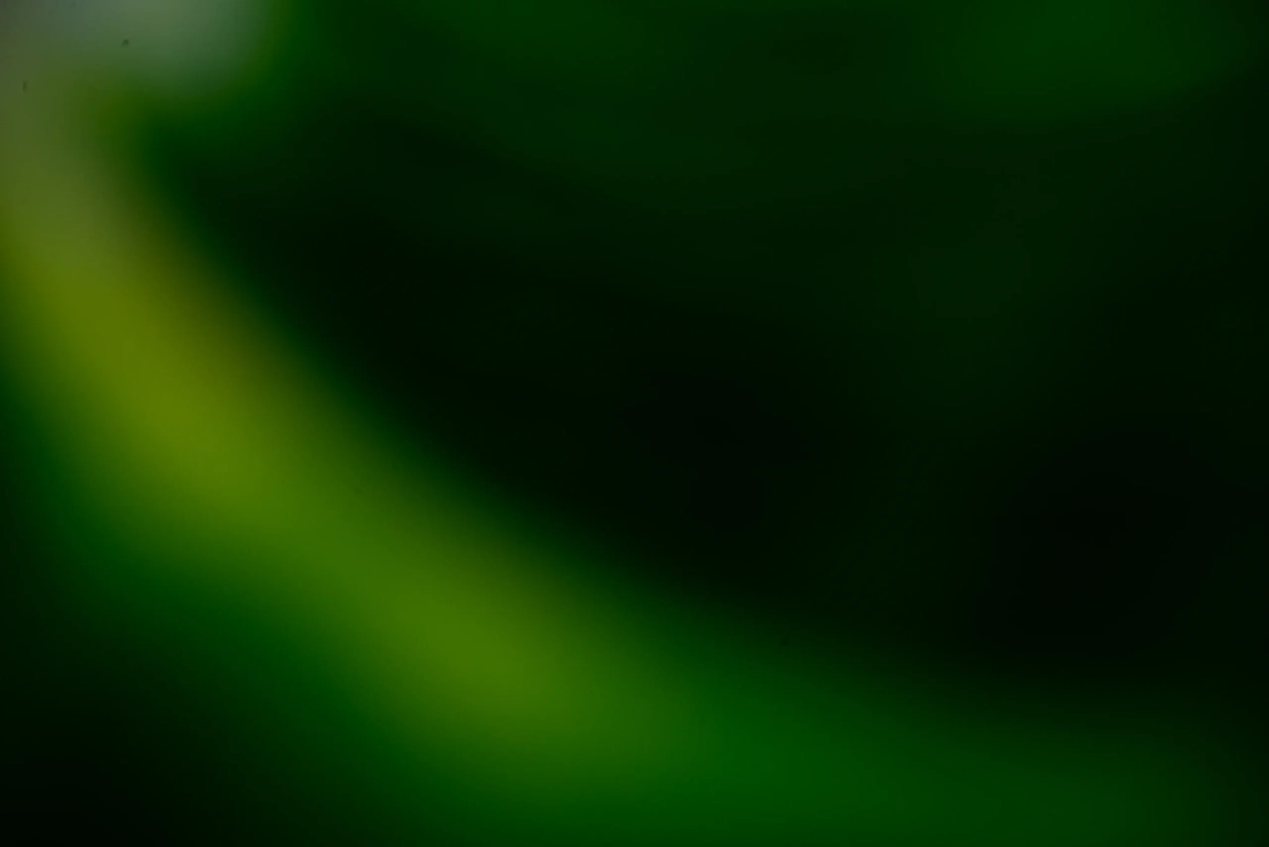 Woko The Behavioral Lab suscripción newsletter