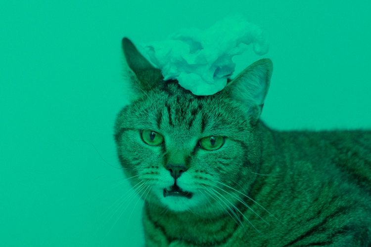 Cómo mejorar la navegación del sitio web y la experiencia de usuario