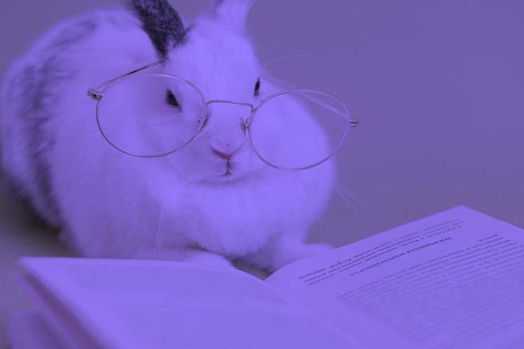 Los lenguajes de programación más usados en 2020